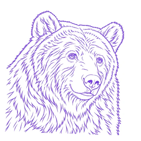 Bear tattoo stencil: clean linework traced from the photo