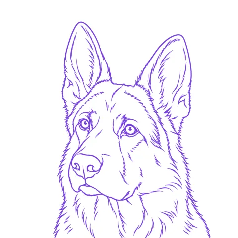 Dog portrait tattoo stencil: clean linework traced from the photo