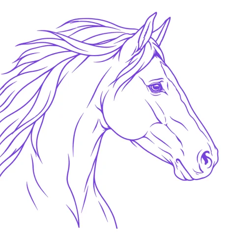 Horse tattoo stencil: clean linework traced from the photo