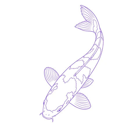 Koi tattoo stencil: clean linework traced from the photo