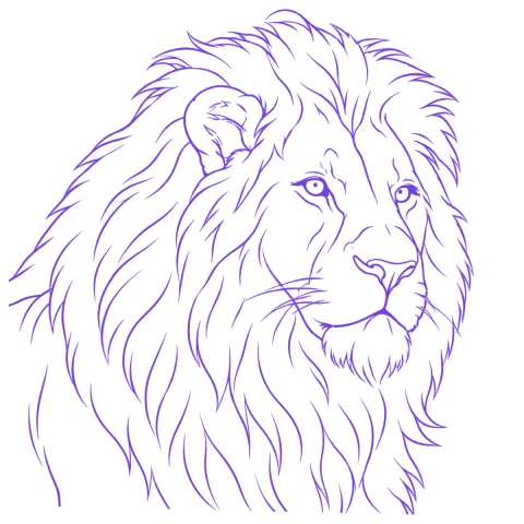 Lion tattoo stencil: clean linework traced from the photo