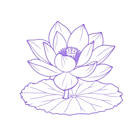 Lotus tattoo stencil: clean linework traced from the photo