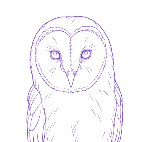 Owl tattoo stencil: clean linework traced from the photo