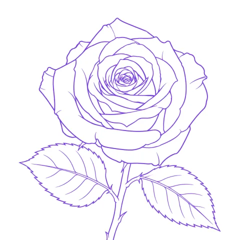Rose tattoo stencil: clean linework traced from the photo