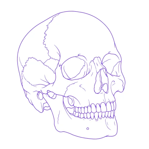 Skull tattoo stencil: clean linework traced from the photo
