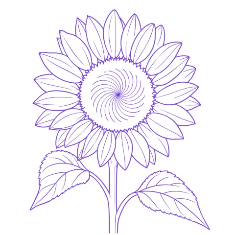 Sunflower tattoo stencil: clean linework traced from the photo